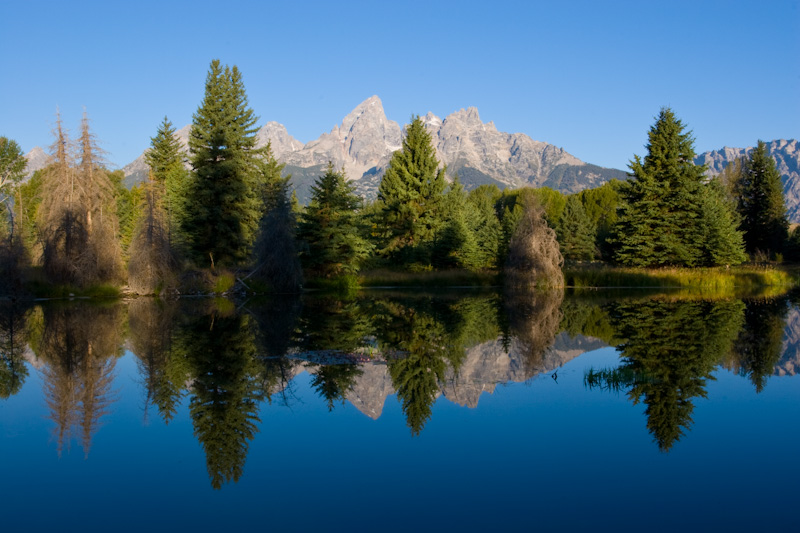 Teton Range Reflected In Beaver Pond